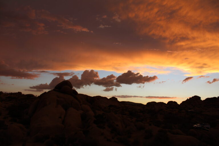 DOES IT RAIN AT JOSHUA TREE