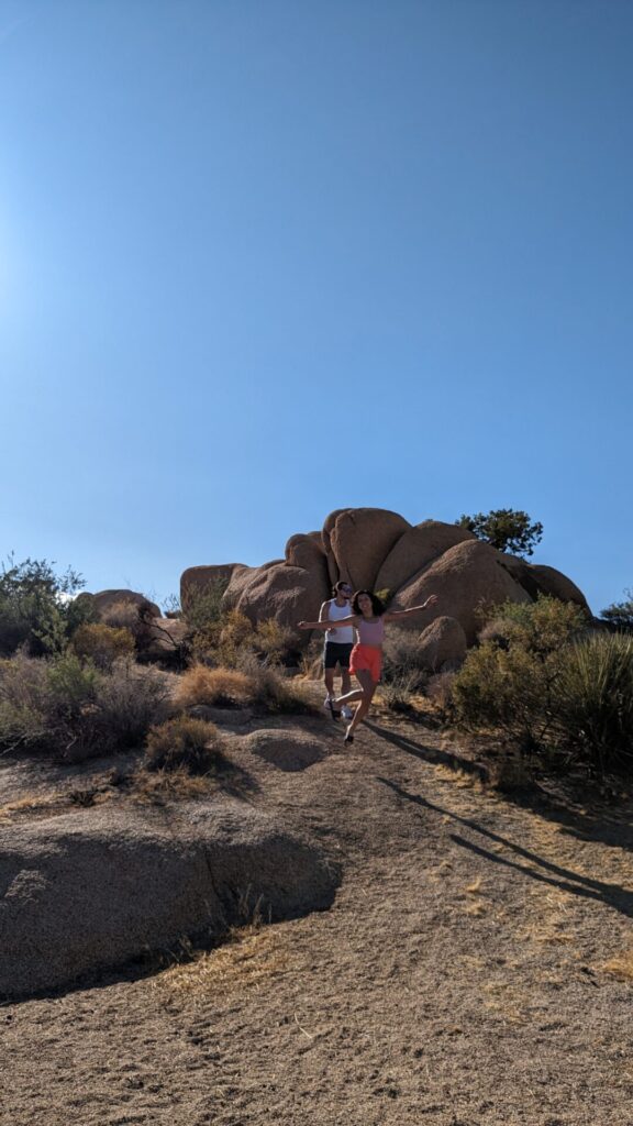 does it rain at Joshua Tree?