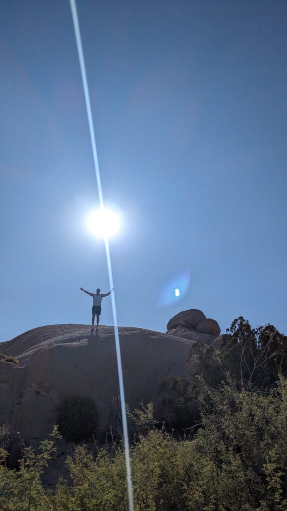 does it rain at Joshua Tree?