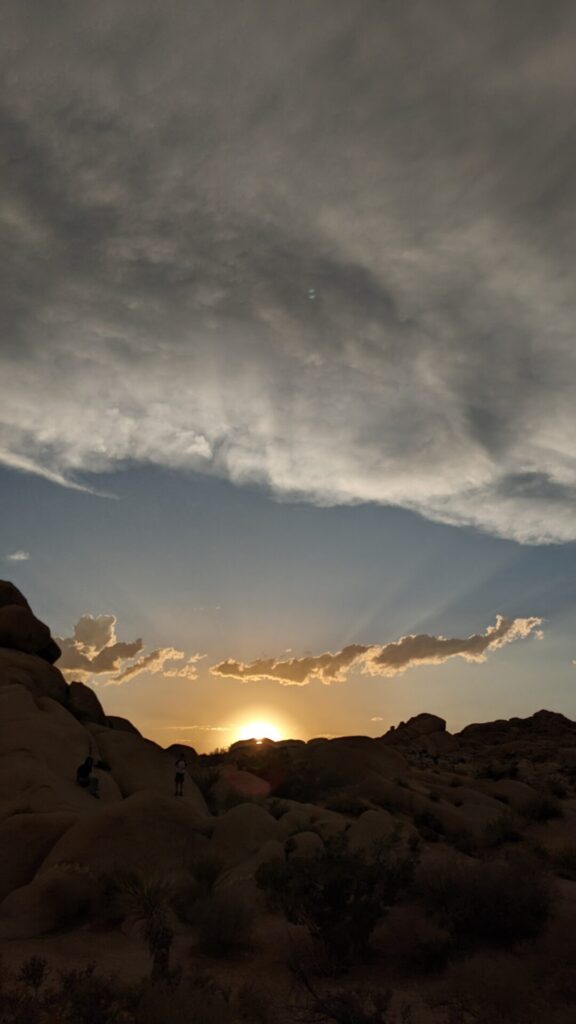 does it rain at joshua tree?