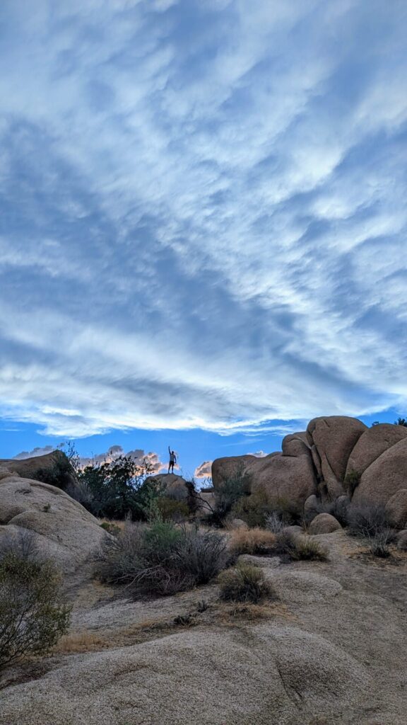 does it rain at joshua tree?